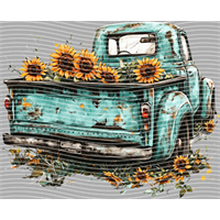 Country music-CM-1195